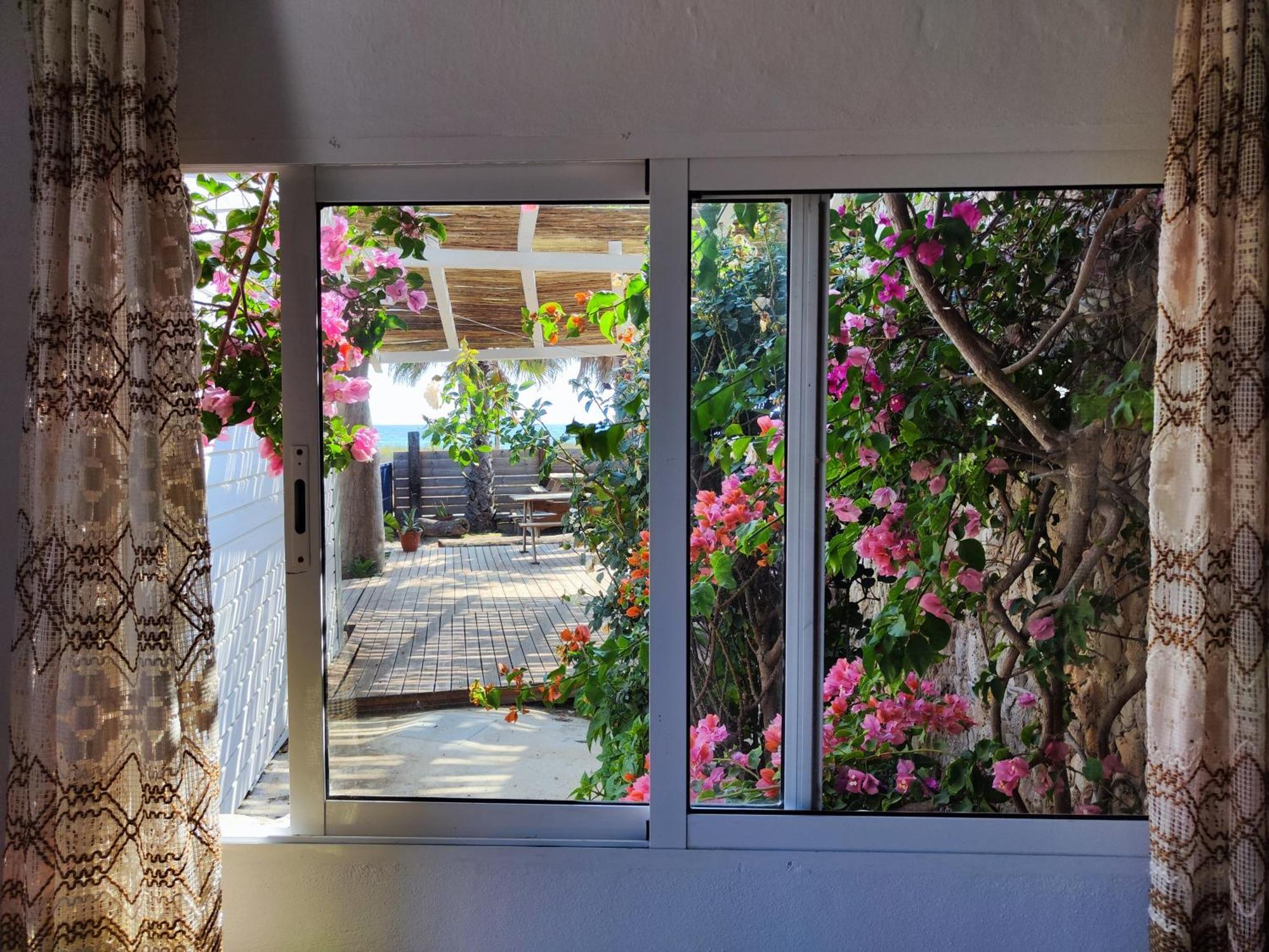La Casa De Piedra A Orillas Del Mar Apartment
