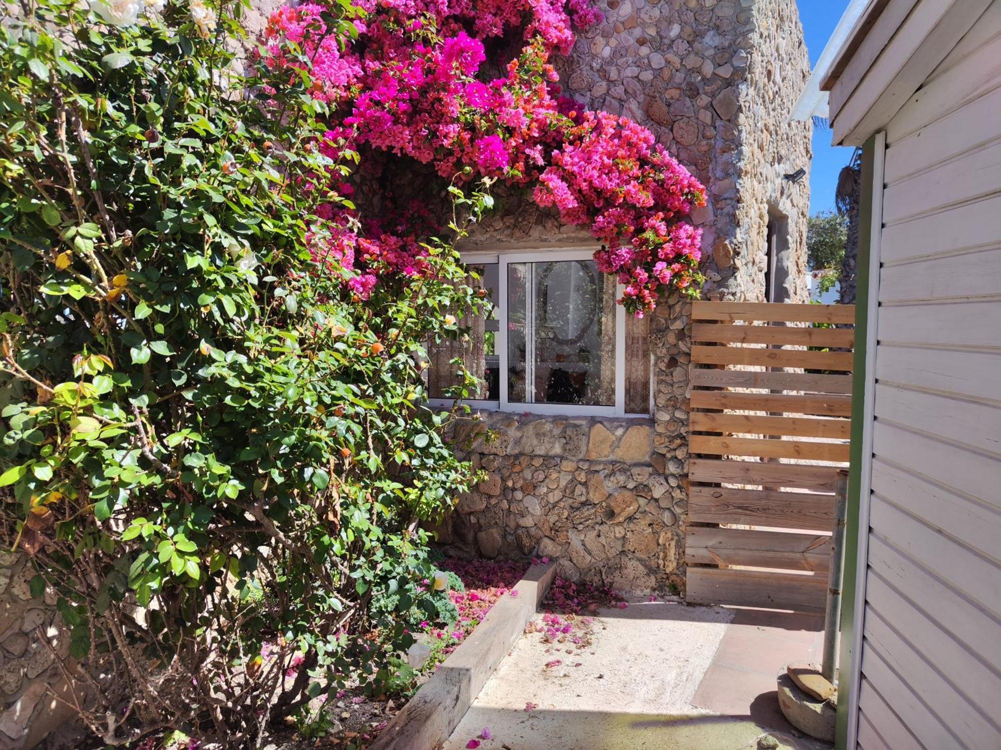 Apartment La Casa De Piedra A Orillas Del Mar Vejer de la Frontera